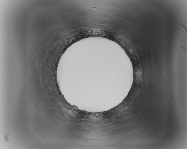 X0000099940865200806131423