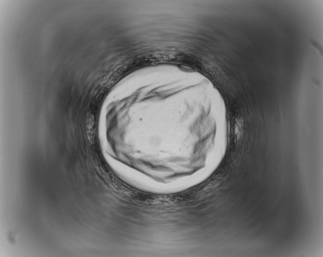 X0000099940867200806131423