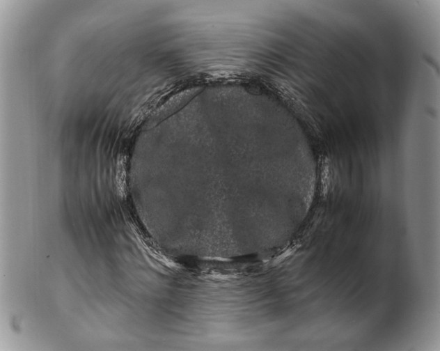 X0000099940868200806131423