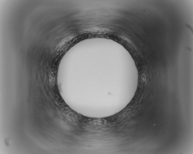 X0000099940869200806131423