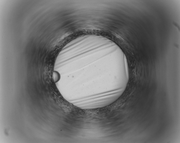 X0000099940870200806131423