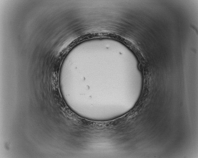 X0000099940871200806131423