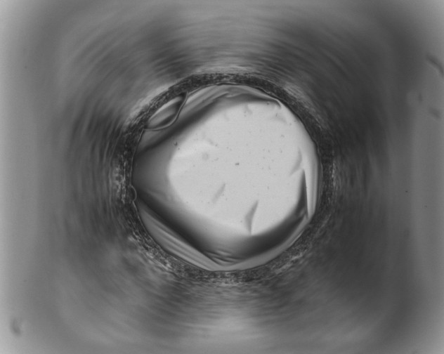 X0000099940872200806131423