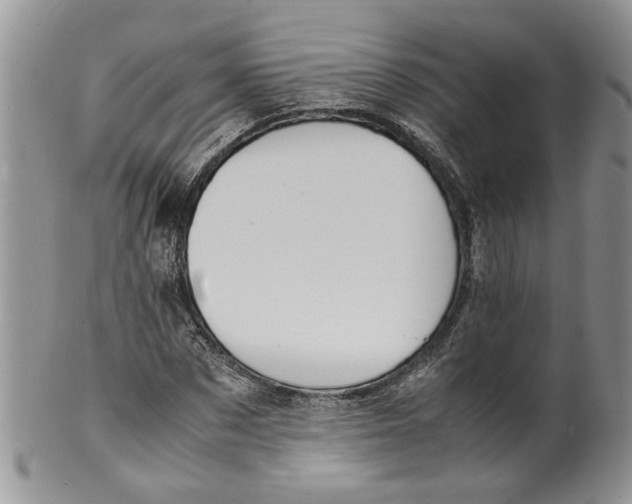 X0000099940873200806131423