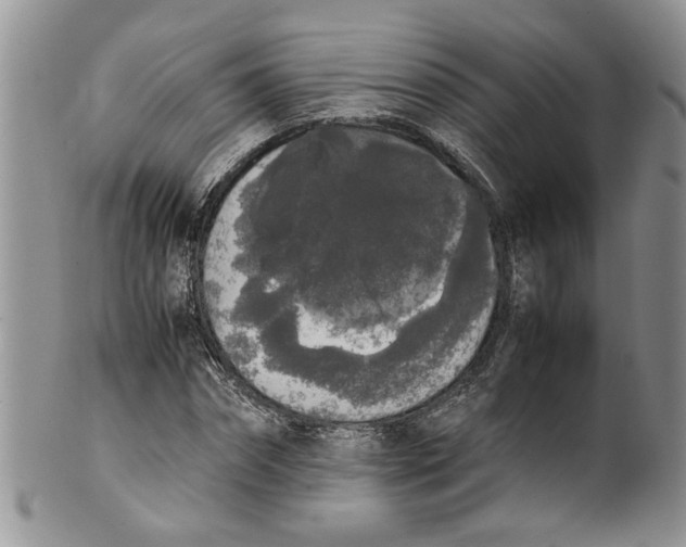 X0000099940874200806131423