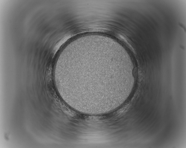 X0000099940875200806131423