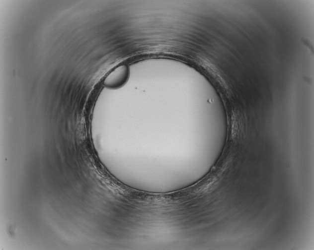 X0000099940876200806131423