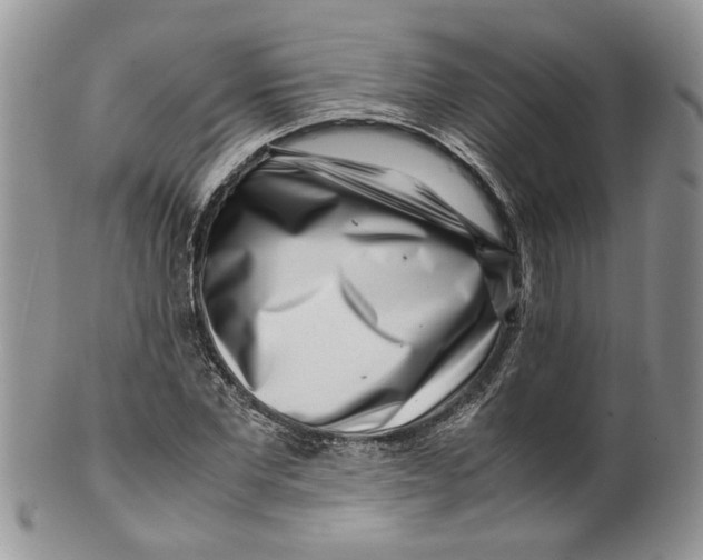 X0000099940877200806131423