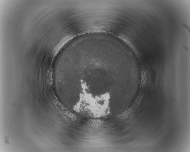 X0000099940878200806131423