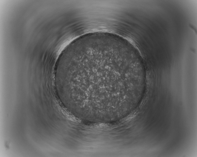 X0000099940879200806131423