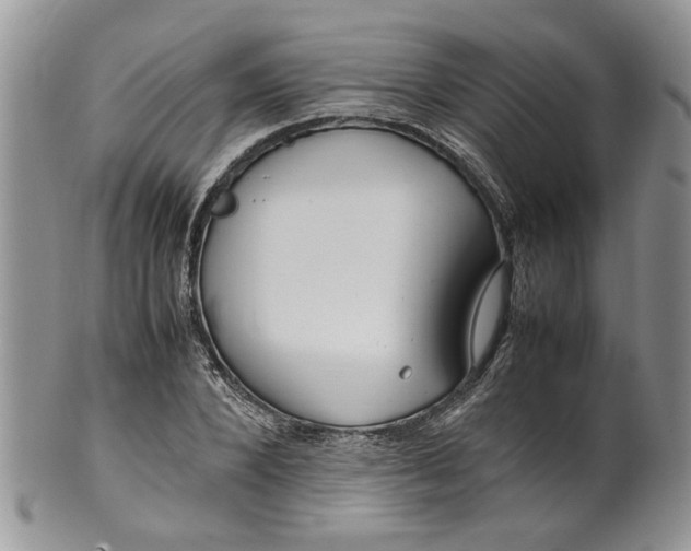 X0000099940880200806131423