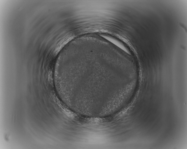 X0000099940881200806131423