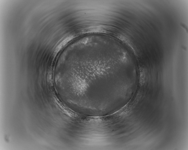 X0000099940882200806131423