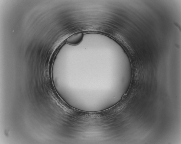 X0000099940884200806131422