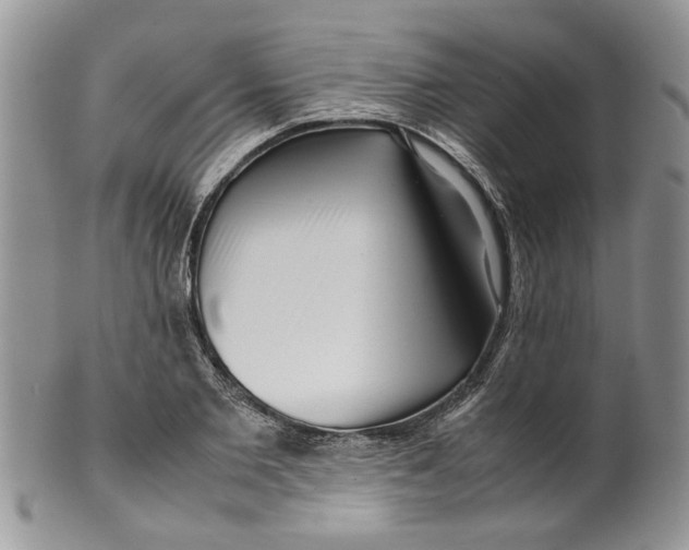 X0000099940885200806131422