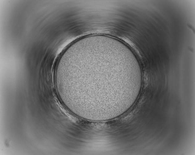 X0000099940886200806131422