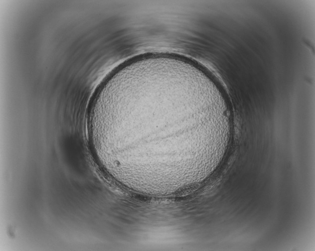 X0000099940887200806131422