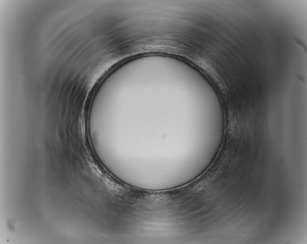 X0000099940888200806131422