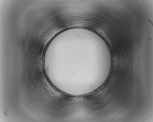 X0000099940890200806131422