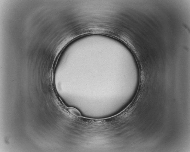 X0000099940891200806131422