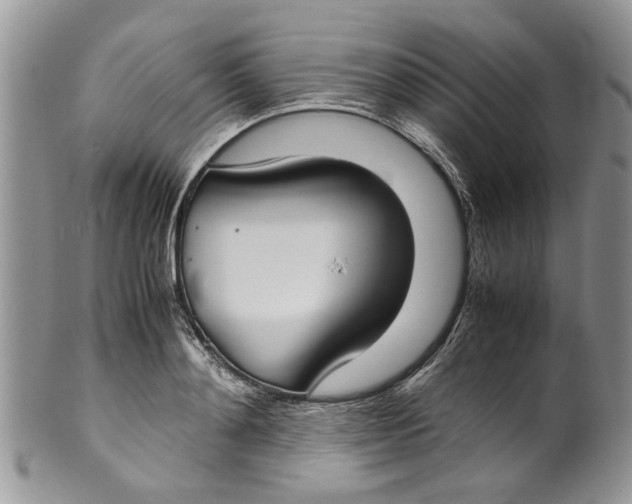 X0000099940892200806131422