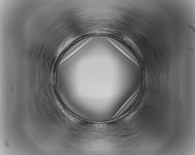 X0000099940893200806131422