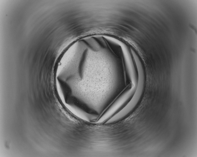 X0000099940894200806131422