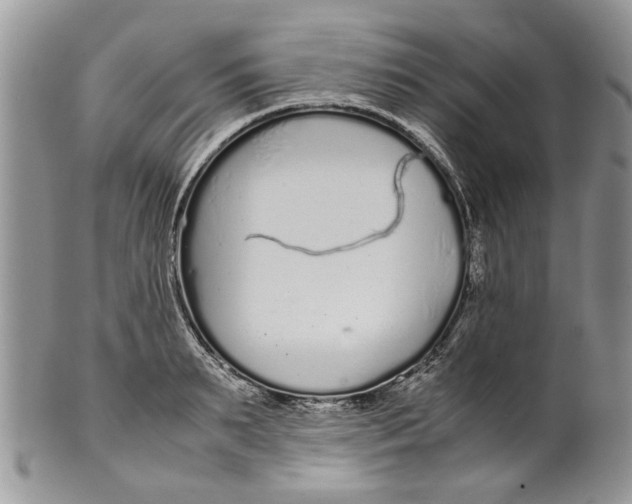 X0000099940895200806131422