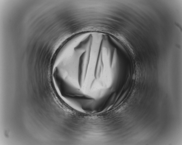 X0000099940896200806131422