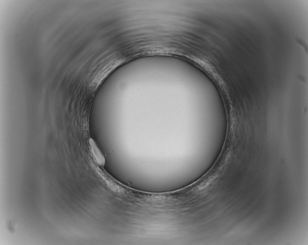 X0000099940897200806131422