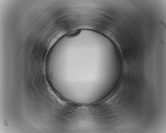 X0000099940898200806131422