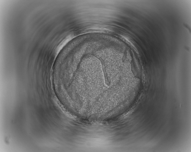 X0000099940899200806131422