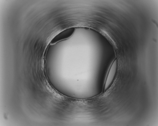 X0000099940900200806131422