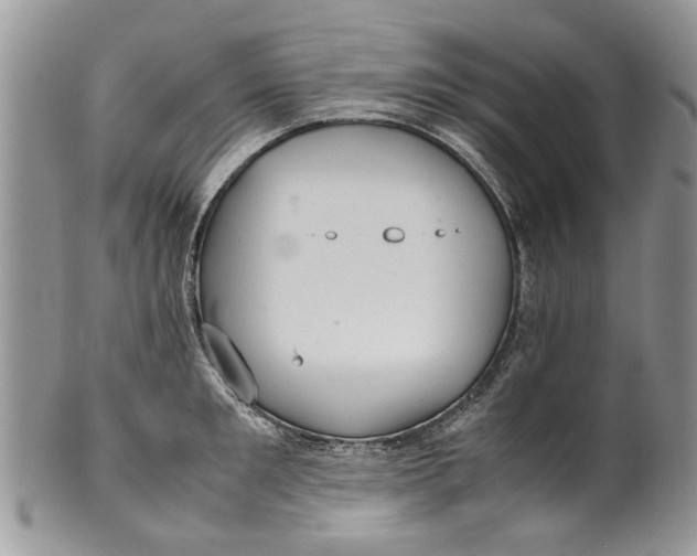 X0000099940901200806131422