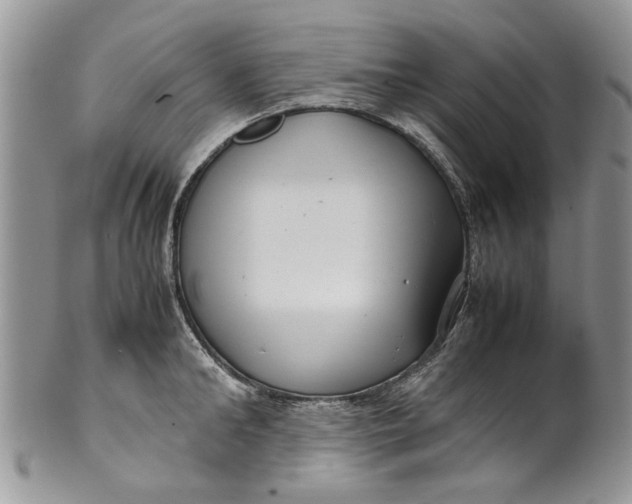 X0000099940902200806131422