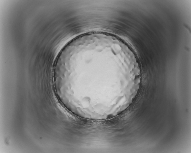 X0000099940903200806131422