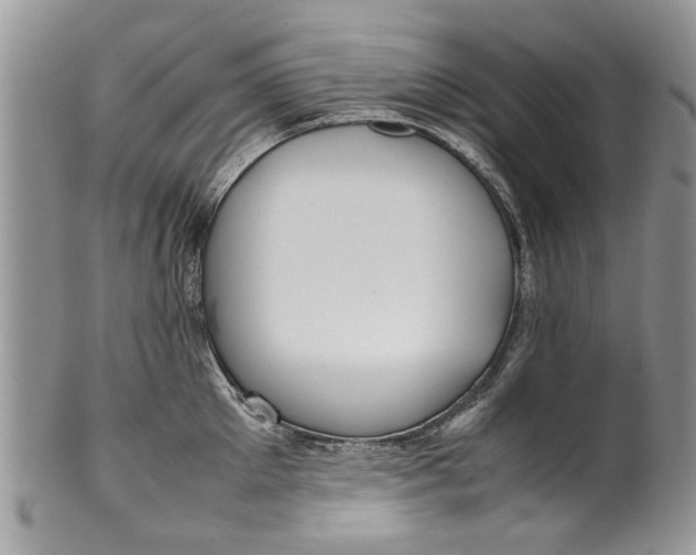 X0000099940905200806131422