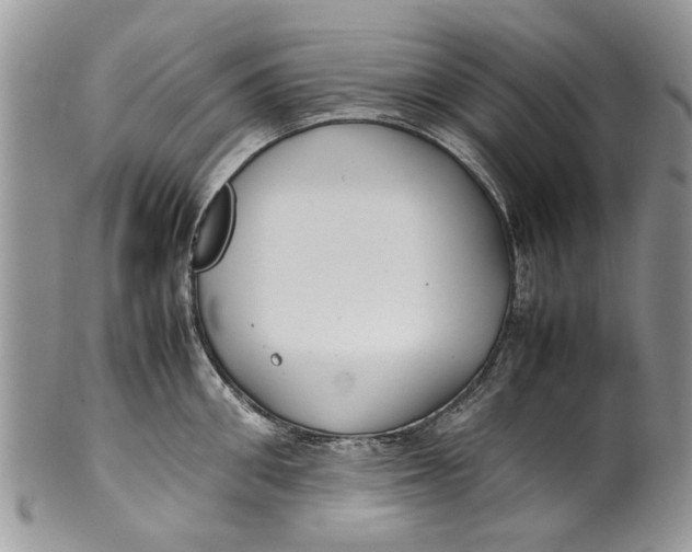 X0000099940906200806131422