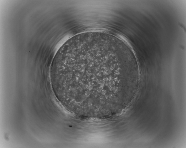 X0000099940907200806131422