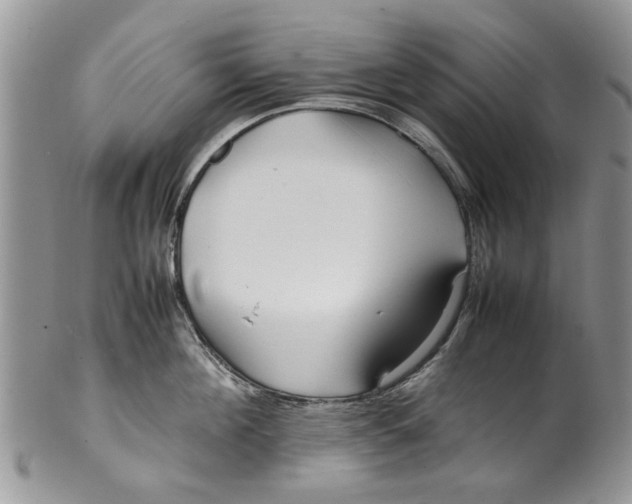 X0000099940908200806131422