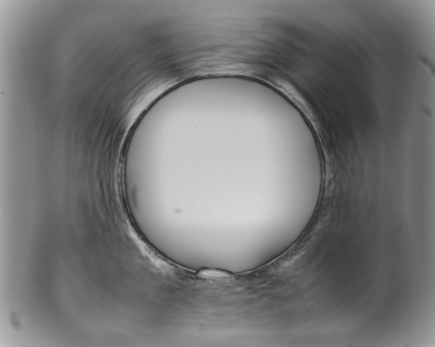 X0000099940909200806131422