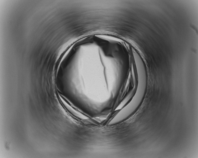 X0000099940910200806131422