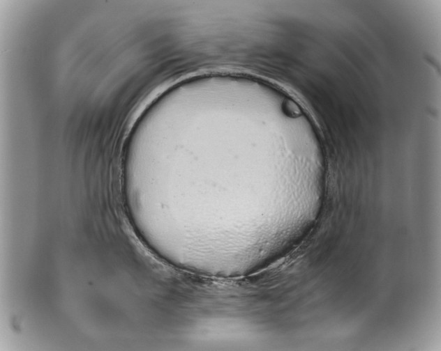 X0000099940911200806131422