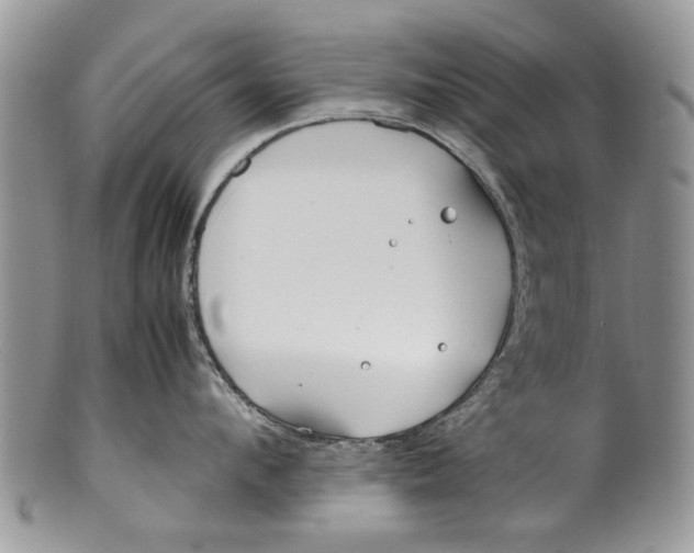 X0000099940912200806131422