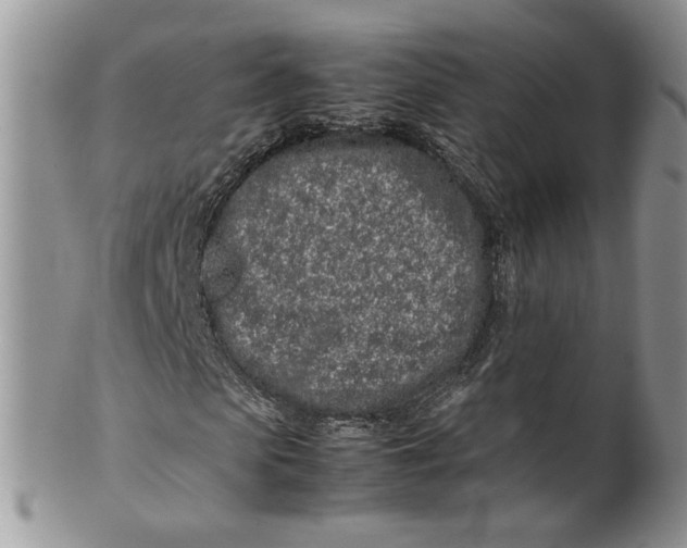 X0000099940913200806131421