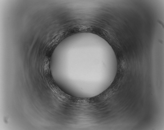 X0000099940914200806131421