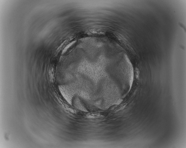 X0000099940915200806131421