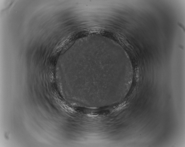 X0000099940916200806131421