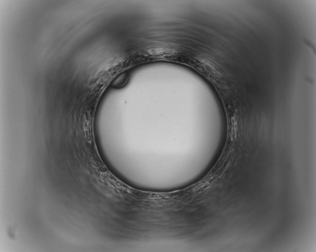 X0000099940917200806131421