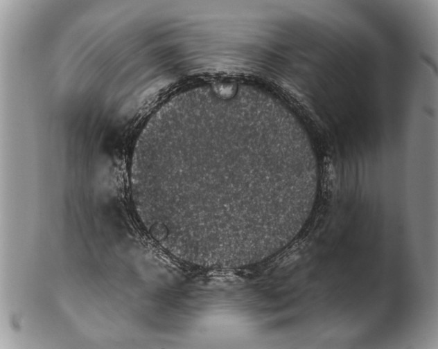 X0000099940918200806131421